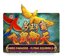 Bird Paradise-Flying Squirrels