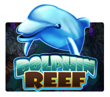 Dolphin Reef slotxo ทดลองเล่น