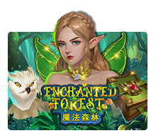 Enchanted Forest slotxo ทางเข้า