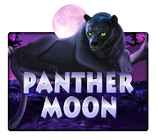 Panther Moon slotxo ทางเข้า