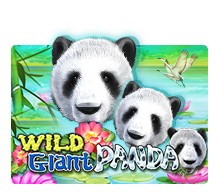 Wild Giant Panda slotxo ทางเข้า