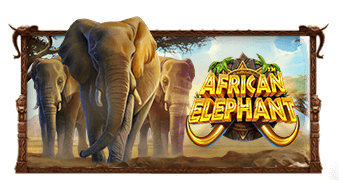 African Elephant Pragmatic Play สมัครสมาชิก