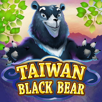 Taiwan Black Bear KA Gaming slottxo สมัครสมาชิก