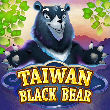 Taiwan Black Bear KA Gaming slottxo สมัครสมาชิก