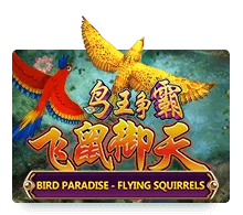 Bird Paradise-Flying Squirrels Slotxo สมัครสมาชิก