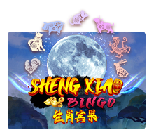 Sheng Xiao Bingo slotxo สมัครสมาชิก