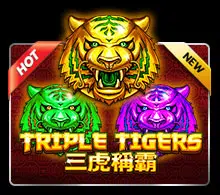 Triple Tigers slotxo สมัครสมาชิก