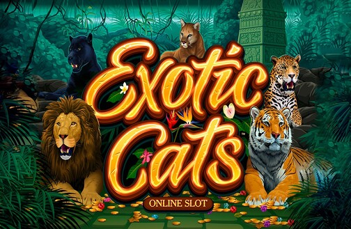 Exotic Cats Microgaming slottxo สมัครสมาชิก