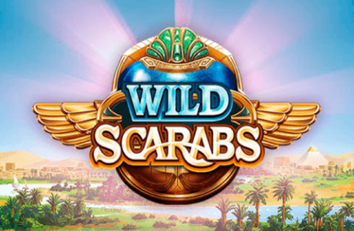 Wild Scarabs Microgaming slottxo สมัครสมาชิก