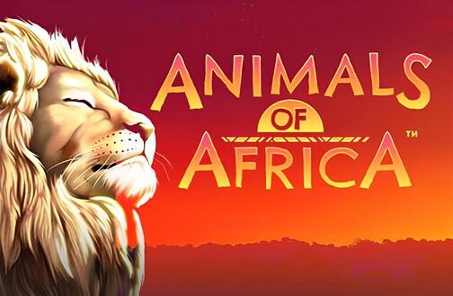Animals of Africa Microgaming slottxo สมัครสมาชิก