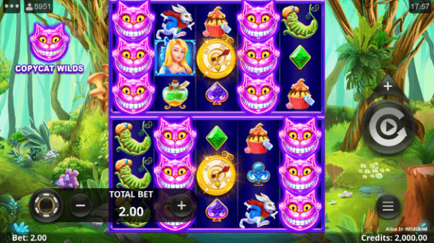 Alice in WildLand Microgaming slottxo ทดลองเล่น