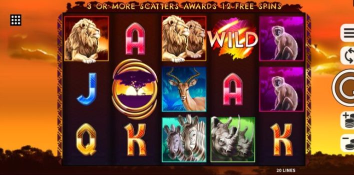 Animals of Africa Microgaming slottxo ทดลองเล่น