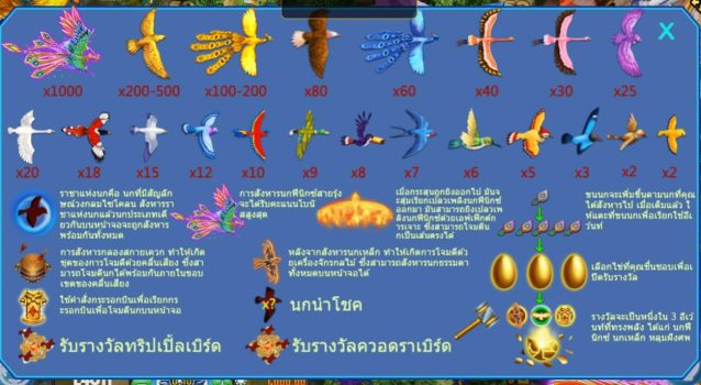 Bird Paradise slotxo ฟรีเครดิต