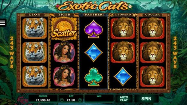 Exotic Cats Microgaming slottxo ทดลองเล่น