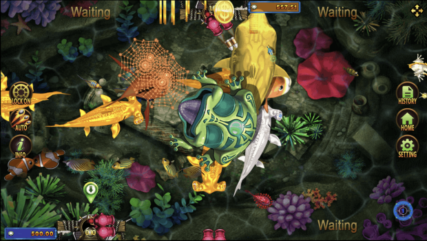 Fish Hunting Golden Toad slotxo ทางเข้า