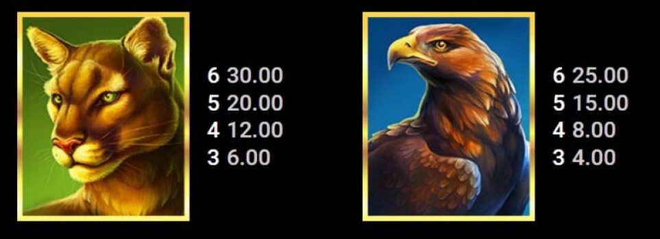 Kodiak Kingdom Microgaming slottxo ฟรีเครดิต