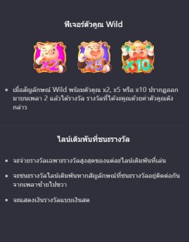 Piggy Gold PG Slot slottxo ทางเข้า