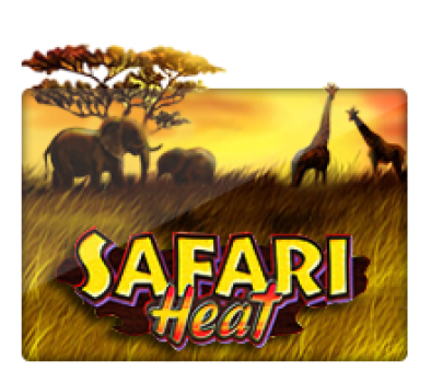 Safari Heat slotxo สมัครสมาชิก