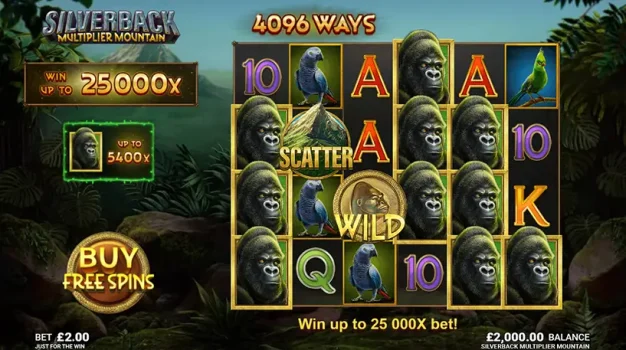 Silverback Multiplier Mountain Microgaming slottxo ทดลองเล่น
