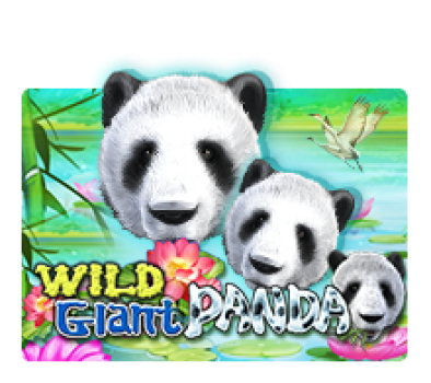Wild Giant Panda slotxo ทางเข้า