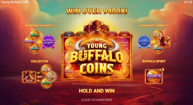 Young Buffalo Coins EVOPLAY slottxo ฟรีเคดรดิต